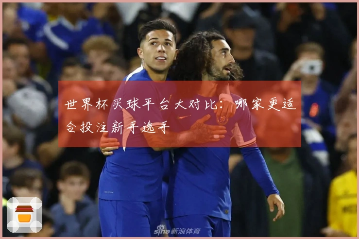 世界杯买球平台大对比：哪家更适合投注新手选手