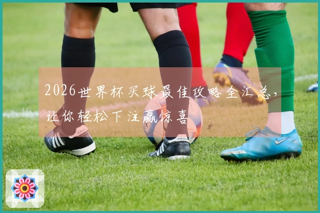2026世界杯买球最佳攻略全汇总，让你轻松下注赢惊喜