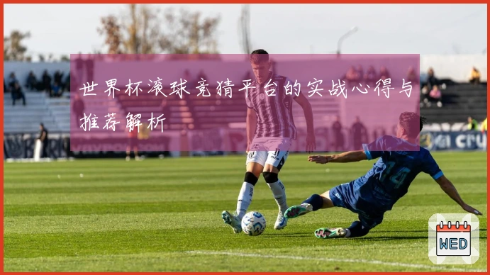 世界杯滚球竞猜平台的实战心得与推荐解析