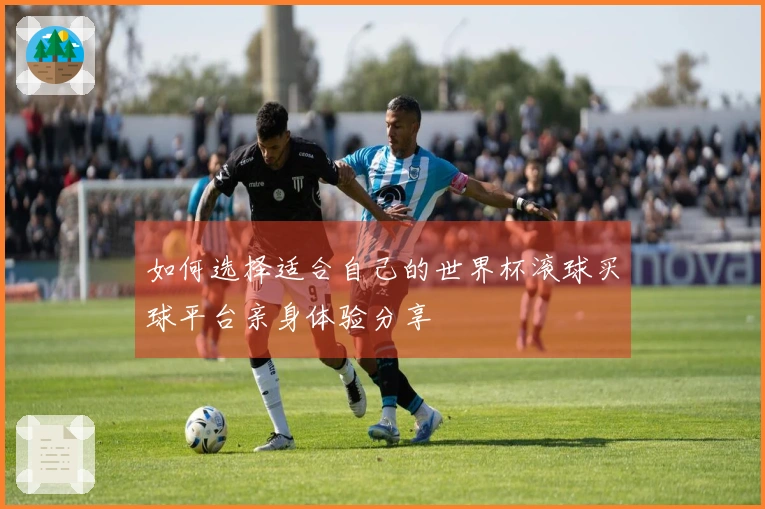 如何选择适合自己的世界杯滚球买球平台亲身体验分享