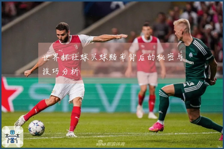 世界杯让球买球赔率背后的秘密与技巧分析