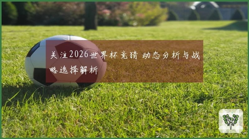 关注2026世界杯竞猜 动态分析与战略选择解析