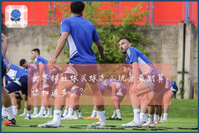 世界杯让球买球怎么玩才最划算，你知道多少？