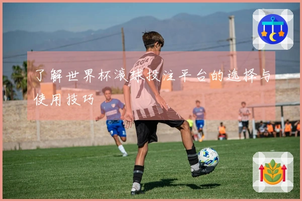 了解世界杯滚球投注平台的选择与使用技巧