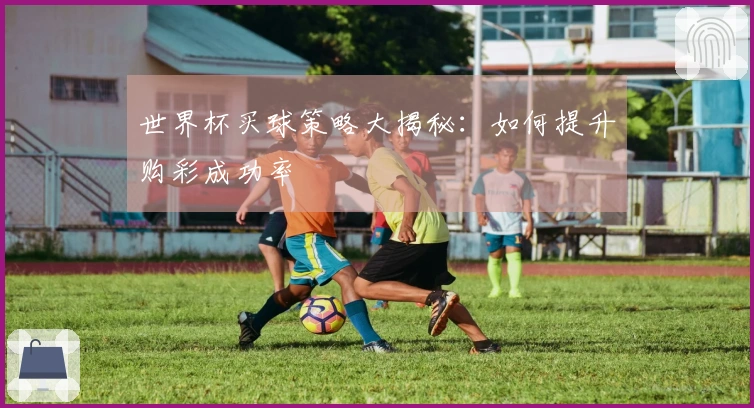 世界杯买球策略大揭秘：如何提升购彩成功率