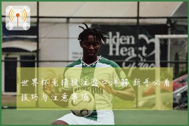世界杯竞猜投注盘口详解 新手必看技巧与注意事项