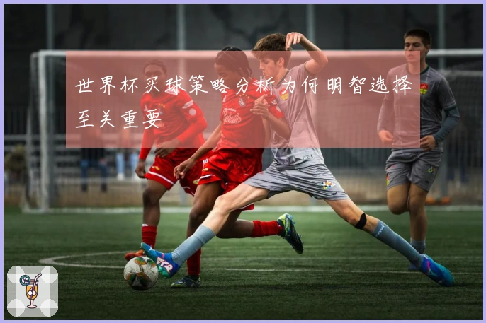 世界杯买球策略分析为何明智选择至关重要