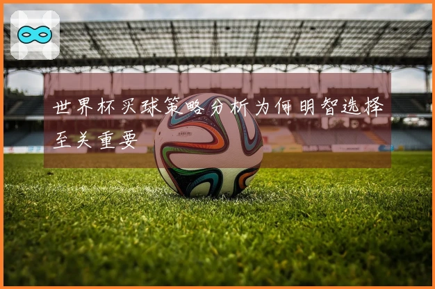 世界杯买球策略分析为何明智选择至关重要