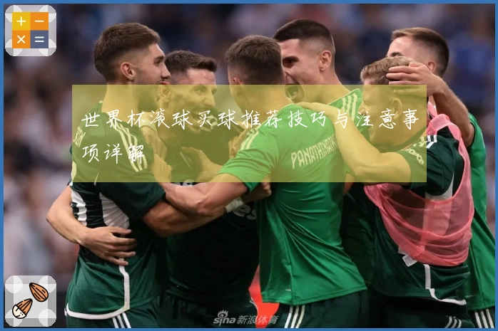世界杯滚球买球推荐技巧与注意事项详解
